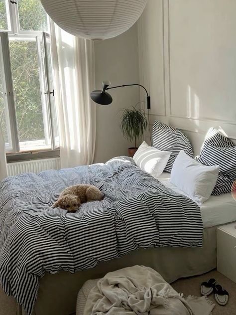 How to Create an Inexpensive Plate Wall